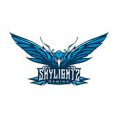 skylightz gaming bgis